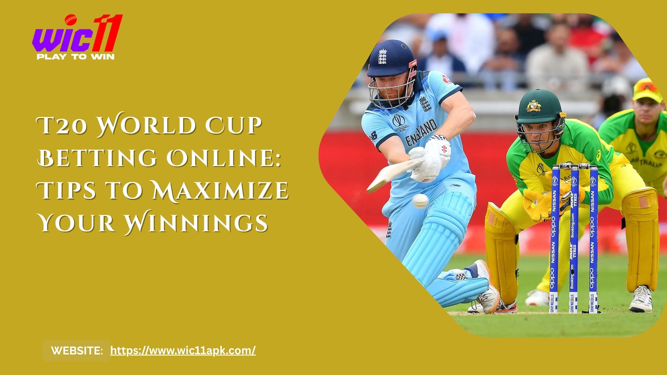 T20 World Cup Betting Online